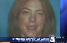 Stabbing Suspect at Large